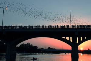 Congress-Avenue-Bridge-and-the-bats-Austin
