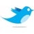 twitter-logo