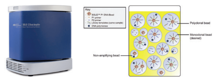 The SOLiD™ EZ Bead™ Amplifier and Post-PCR Emulsion of Amplified DNA Templates