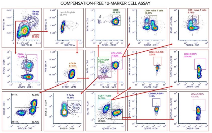 Screenshot 2026-02-09 at 10.12.46 AM