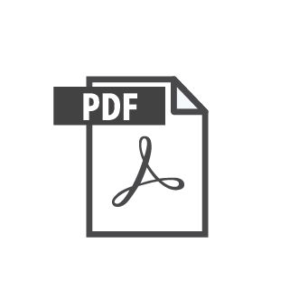 PDF File